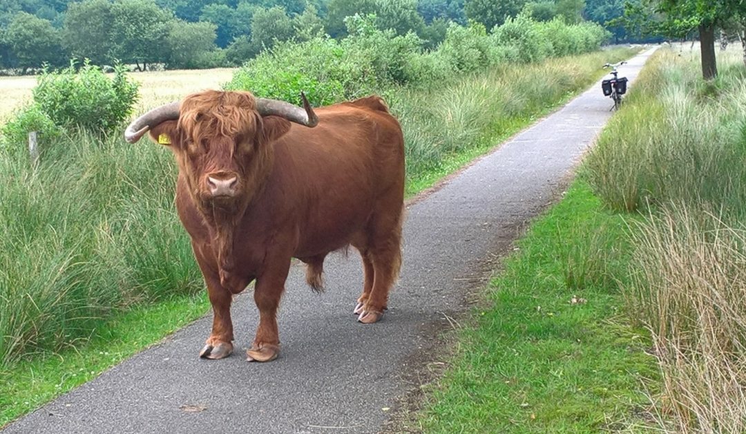 Een bijzondere ontmoeting