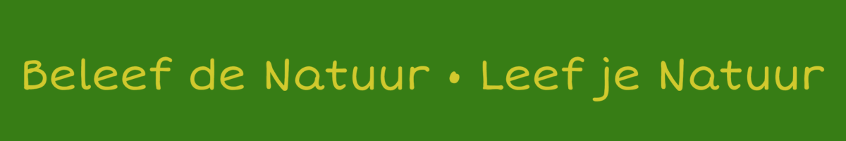 subtitel groene achtergrond 1200x200