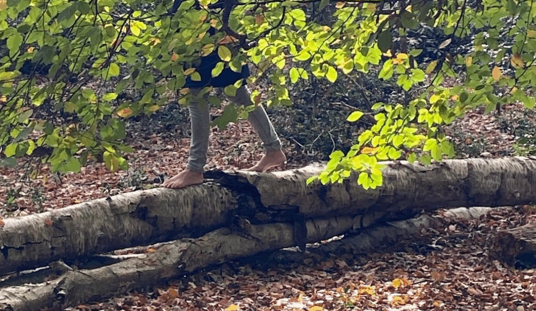 Balanceren tussen hoofd en hart